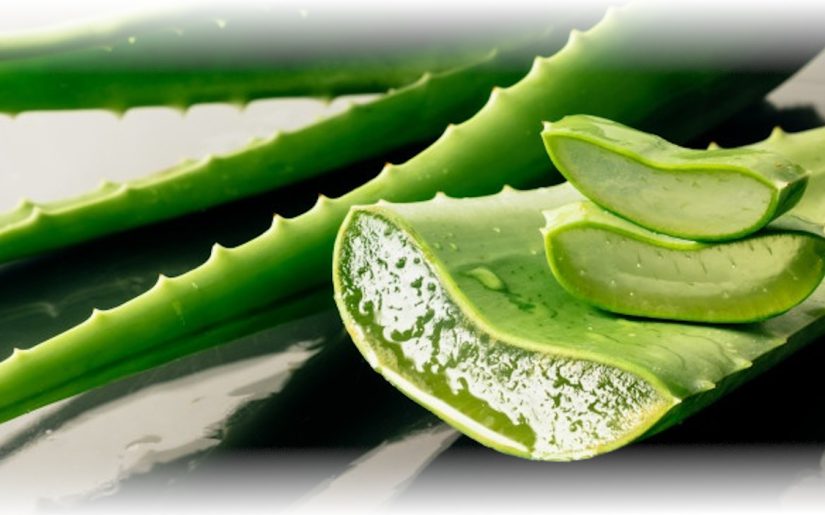 Aloe Gel